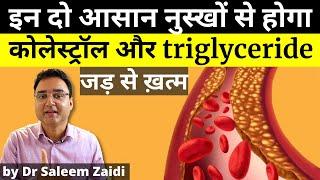 2 Most Effective Home Remedies For Cholesterol & Triglyceride | कोलेस्ट्रॉल के  लिए 2 घरेलु नुस्खे