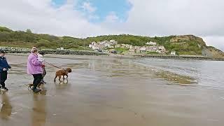 Runswick Bay Walk - Walk around Runswick Bay - Runswick Bay Walking Tour 4K