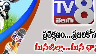 tv8 telugu Live Stream