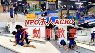 NPO法人ACRO 体操教室（目黒・不動前）