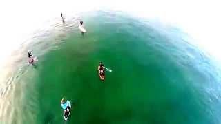 Shark and Surfer in Near Collision