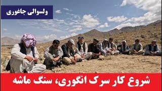 کسرک انگوری و سنگماشه | جاغوری | افغانستان | Afghanistan |