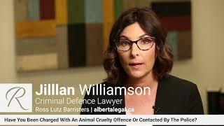 Animal Cruelty Explained By Jillian Williamson