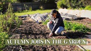 A Week of Work in the Cottage Garden & Backyard Cut Flower Farm  Late Autumn Jobs