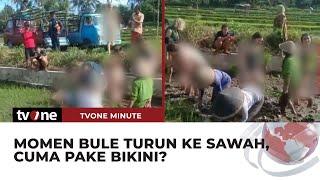 Waduh! Bule Turun ke Sawah Untuk Menanam Padi, Bikin Netizen Salfok | tvOne Minute