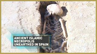 Ancient Islamic burial ground with thousands of skeletons unearthed in Spain