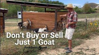 Why You shouldn't Buy or Sell Just 1 Goat