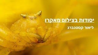 יסודות צילום מאקרו - ליאור קסטנברג