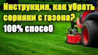 Как удалить СОРНЯКИ на газоне? Когда и чем  обработать? ПОДРОБНАЯ ИНСТРУКЦИЯ. Одуванчики на газоне.