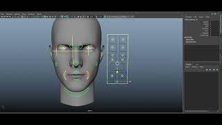 Face Rigging    using advanced skeleton