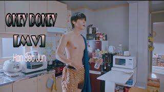 [MV] Okey Dokey × Seo jun | True Beauty | 2020 | Kdrama |