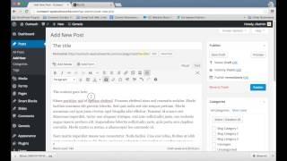 How to Add a New Post to a WordPress Website Blog