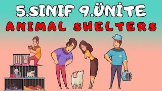 5.SINIF İNGİLİZCE 9.ÜNİTE KELİMELERİ VE KONU ANLATIMI | ANIMAL SHELTERS