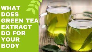 What Does Green Tea Extract Do for Your Body - Is it Safe for Your Body