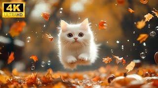 Amazing Autumn Animals 4K - Explore The World Of Lovely Baby Animals With Gentle Relaxing Music