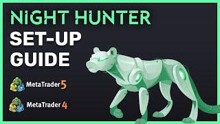 Night Hunter Pro MQL Expert Advisor Set-Up Guide: How To Install & Configure - Valeriia Mishchenko