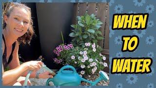 How Often Should I Be Watering My Plants?