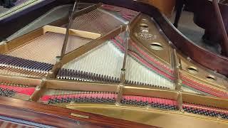 RAHT plays a Puccini Melody from a Gianni Schicchi Opera on our Restored Chickering Grand Piano