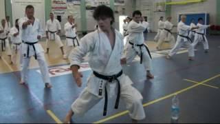 European Budo Karate Seminar Italy 2016