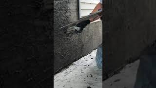 Skip Trowel Parging Texture- Knockdown stucco plastering