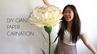 DIY Giant Paper Flower Carnation Backdrop for Weddings (How to make giant paper flower)