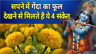 सपने में गेंदा का फूल देखने से मिलते है ये 4 संकेत | Sapne me ganda ka phool dekhna | Marigold dream