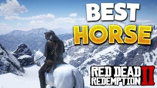 Red Dead Redemption 2 Best Horse! How To Get Arabian White Coat Horse Location (RDR2 Best Horse)