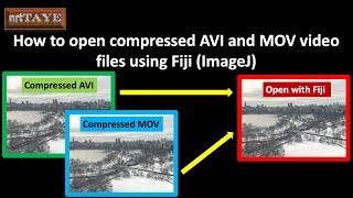 How to open compressed AVI and MOV video files using Fiji (ImageJ)