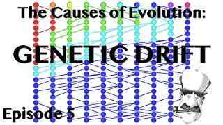 Genetic Drift | The Causes of Evolution | Ep. 5