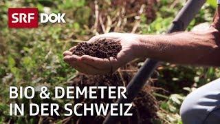 Bio und Demeter in der Schweiz – Spurensuche zu den Anfängen der Öko-Landbaus | Doku | SRF Dok