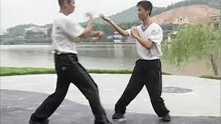 3.Yongchun Quan Series Basic Skill of Dart Finger Biaozhi