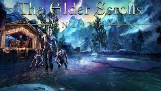 MAELSTROM ARENA 2020 GUIDE | Elder Scrolls Online