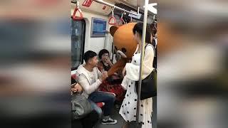funny bear, медведь в метро, китайские приколы №1