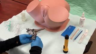 Pelvic Examination