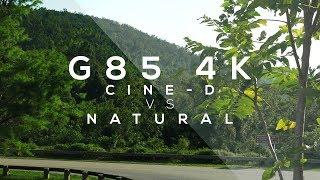 Cinelike-D vs. Natural in 4K || Panasonic G85 Test || Non-Scientific Samples