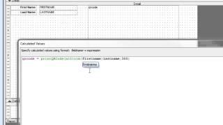 Alpha Five V12  Reports printing QR Codes