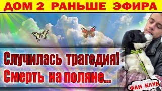 Дом 2 новости 27 ноября. Случилось невероятное