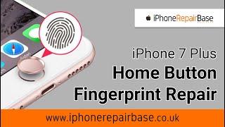 iPhone 7 Plus fingerprint & home button repair