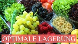 OPTIMALE LAGERUNG FUER OBST UND GEMUE  SE (SALATE BIS ZU 2 WOCHEN KNACKIG)