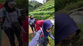 Duo Cewek mendaki gunung Bismo #pendaki #pendakigunung #pendakiindonesia