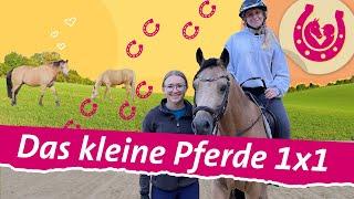 Erste Reitstunde bei Lia: Maria Ziffy auf dem Ponyhof | Mein Pferdesommer | SWR Plus