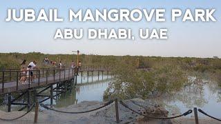 JUBAIL MANGROVE PARK WALK TOUR | VIRTUAL EXPLORER