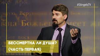 Бессмертие души: правда или миф? (часть первая) | Тайна бессмертия