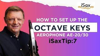 iSaxTip 7 How to set the octave key range on the Roland Aerophone