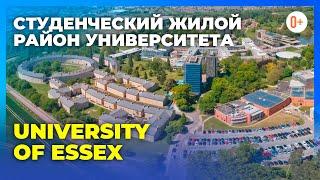 Общежитие университета в Англии University of Essex / Типы проживания в ВУЗе / Студенческий район