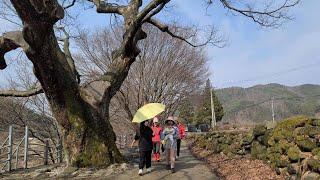 산골 손님접대는 숯불에 돌판과 솥뚜껑 요리로 /The day a baby came to visit a mountain village in spring #산골손님대접 #산골오빠