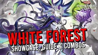 WHITE FOREST SHOWCASE, GUIDE & COMBOS for MASTER DUEL!