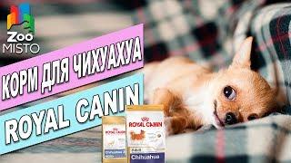 Корм для собак Роял Канин Чихуахуа| Обзор Корма Роял Канин | Royal Canin Chihuahua review