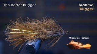 the BETTER Wooly Bugger! - UNDERWATER FOOTAGE! - McFly Angler Streamer Fly Tying Tutorials