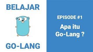 Belajar Go-Lang - 1 Apa itu Go-Lang?